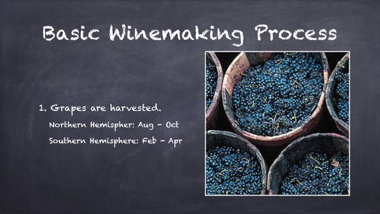 The Winemaking Process Explained