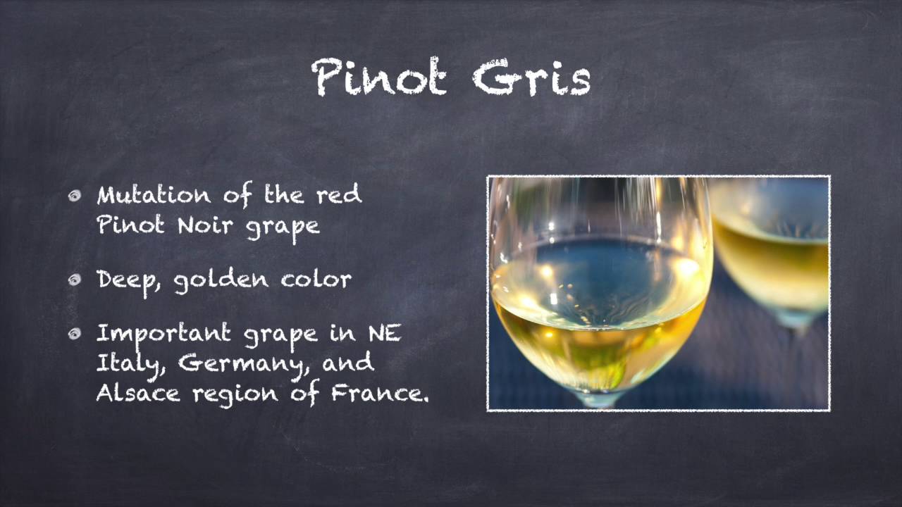 Pinot Gris – The Pinot Noir Cousin