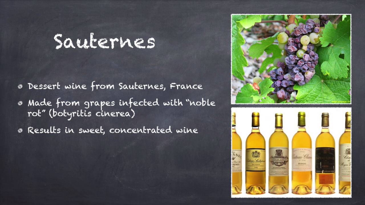 Sauvignon Blanc – Taste, Regions, and History